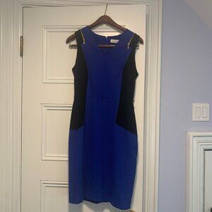 Blue Calvin Klein Dress